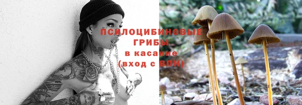 мескалин Алексеевка