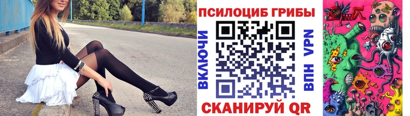 kraken зеркало  Бабушкин  Галлюциногенные грибы MAGIC MUSHROOMS  площадка как зайти  где купить наркоту 